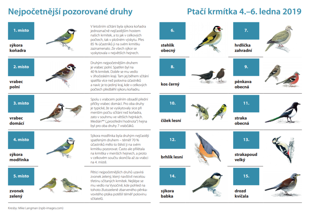 Nejčastěji pozorované druhy na krmítkách 2019