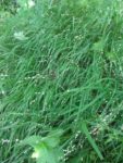 IMG_20180525_135125