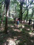 IMG_20180525_142929