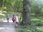 IMG_20180608_182757